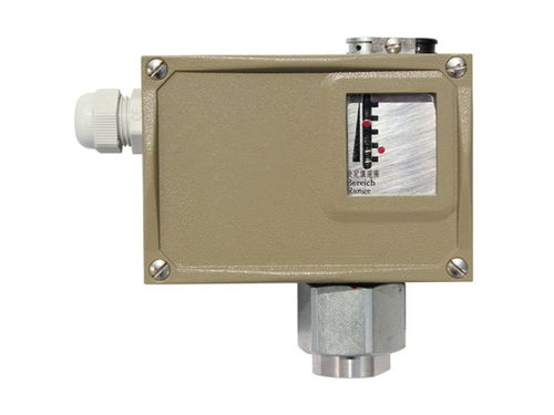 天津潤(rùn)滑脂壓力開(kāi)關(guān)行業(yè)專家在線為您服務(wù)